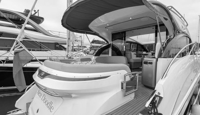 Seadoodle For Sale image10