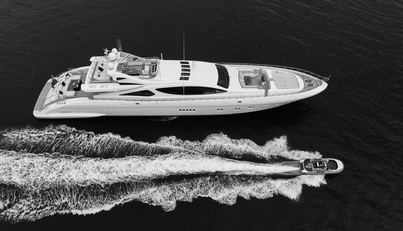 ROYALE X For Sale image6