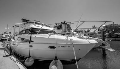 noname For Sale image1