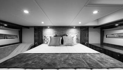 Greyhound For Sale image60