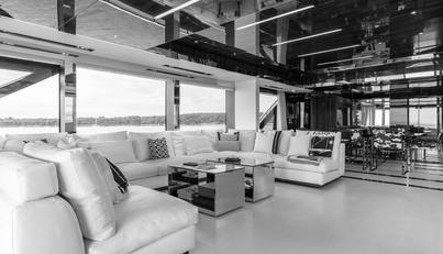 ONYX For Sale image10