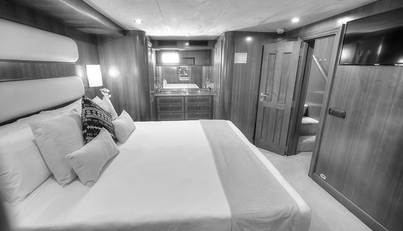 VOYAGER For Sale image8