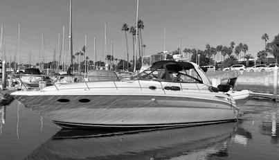 Hale Yes For Sale image1