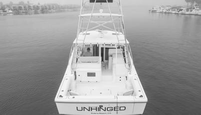 Unhinged For Sale image5