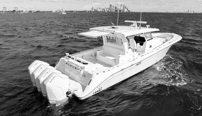 48 Campeon For Sale image4