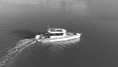 HAYLU For Sale image6