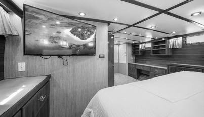 noname For Sale image69