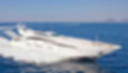 Leopard 46