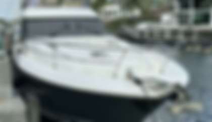 Prestige 550