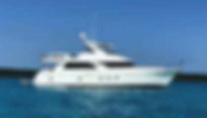 Ocean Alexander 74 Motoryacht