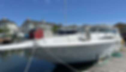 Sea Ray 44 Sundancer
                                         Mk1