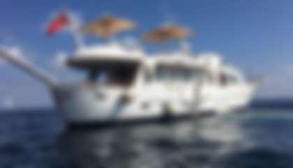 Custom built Codecasa Yacht, M/Y F***** For Sale