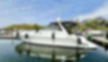 Sea Ray 410 Sundancer
                                         Mk1