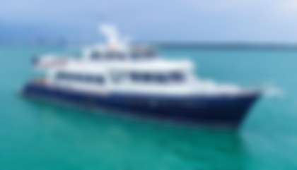 Custom built Marlow Yacht, M/Y P***** For Sale