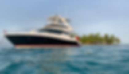 Tiara F44 Flybridge