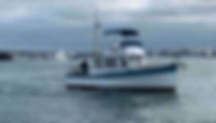 Grand Banks 36 Classic
                                         Gen 1