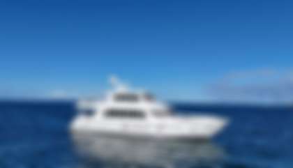 Custom built Hargrave Yacht, M/Y O***** For Sale