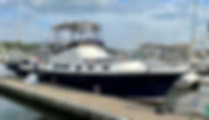 Albin 35 Command Bridge