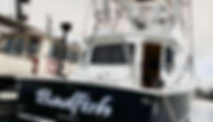 Ocean 40 Super Sport