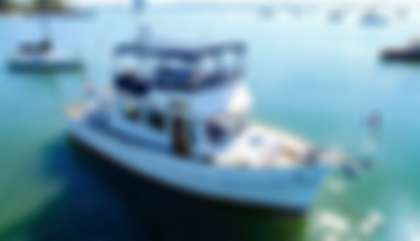 Grand Banks 42 Classic
                                         Mk1