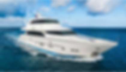 Horizon P110, M/Y L***** For Sale