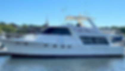 Bayliner 4788 Pilothouse