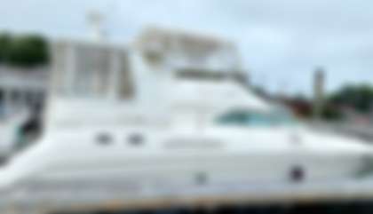 Sea Ray 420 Aft Cabin