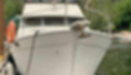 Bayliner 3888 Motoryacht