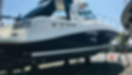 Sea Ray 390 Sundancer
                                         Mk1