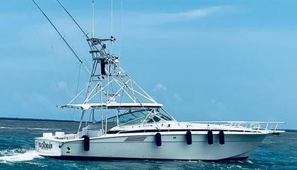 Bertram 46 Moppie