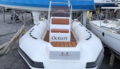 Tiger Marine Open 600, Tiger Marine Open 600 For Sale