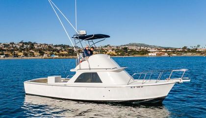 Bertram 31 Flybridge Cruiser, Bertram 31 Flybridge Cruiser For Sale