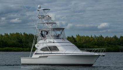 Bertram 390 Convertible