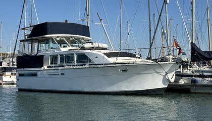 Bertram 42 Motoryacht
                                         Mk1