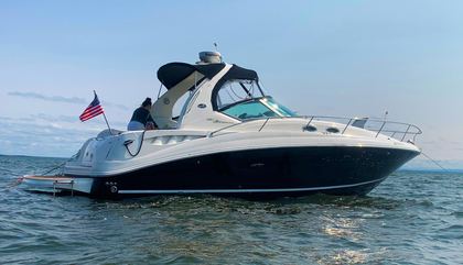 Sea Ray 320 Sundancer
                                         Gen 1