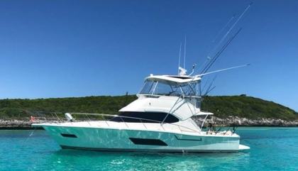 Riviera 43 Open Flybridge