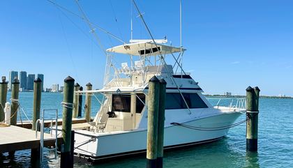 Viking 43C
