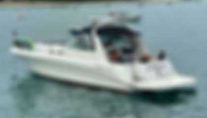 Sea Ray 410 Sundancer
                                         Mk1