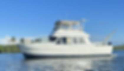 Mainship 430 Trawler