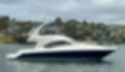Sea Ray 44 Sedan Bridge