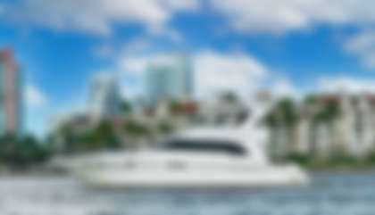 Sea Ray 480 Sedan Bridge