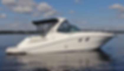 Sea Ray 310 Sundancer
                                         Gen 2