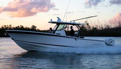 Blackfin 332 CC, Blackfin 332 CC For Sale