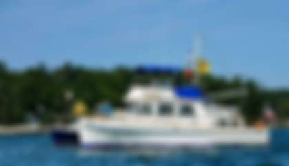 Grand Banks 36 Classic
                                         Gen 1