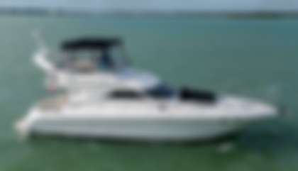Sea Ray 400 Sedan Bridge
