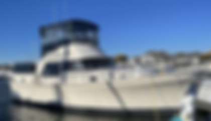 Mainship 36 Double Cabin