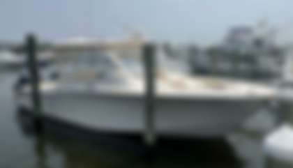 Grady-White Freedom 335