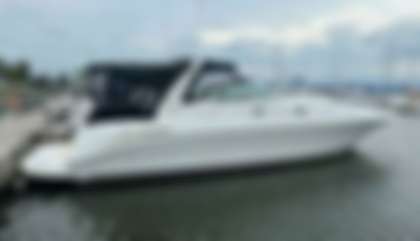Sea Ray 410 Sundancer
                                         Mk1
