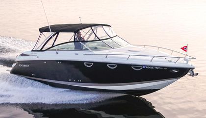 Cobalt 323