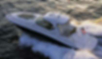 Sea Ray 44 Sundancer
                                         Mk2
